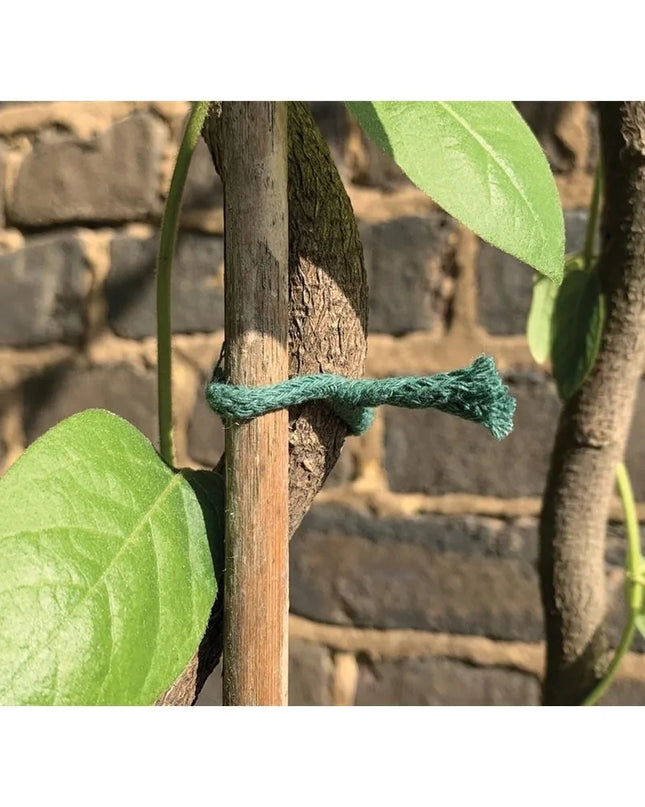 Lien torsadé jute vert 5m