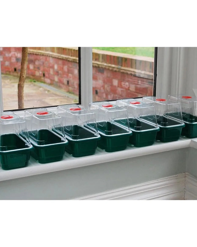 Lot de 3 mini serres propagateur High Dome