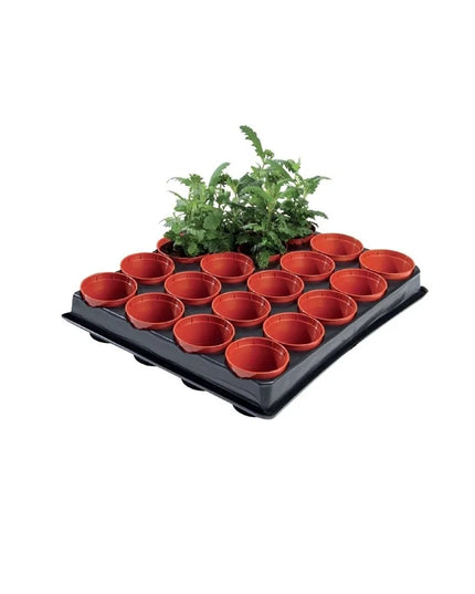Mini plateau de semis et de bouture professionnel (pots de 20 x 6 cm)