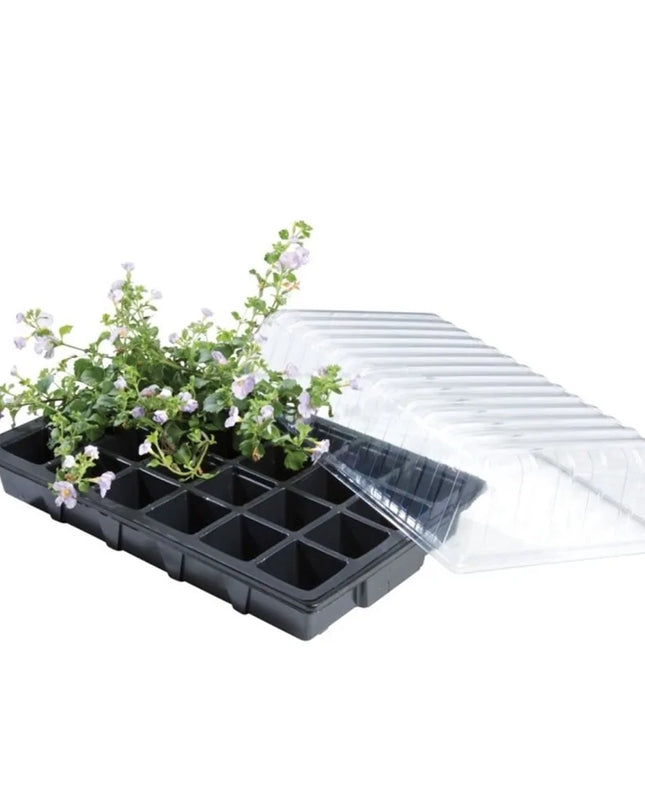 Mini serre triple pack propagateur