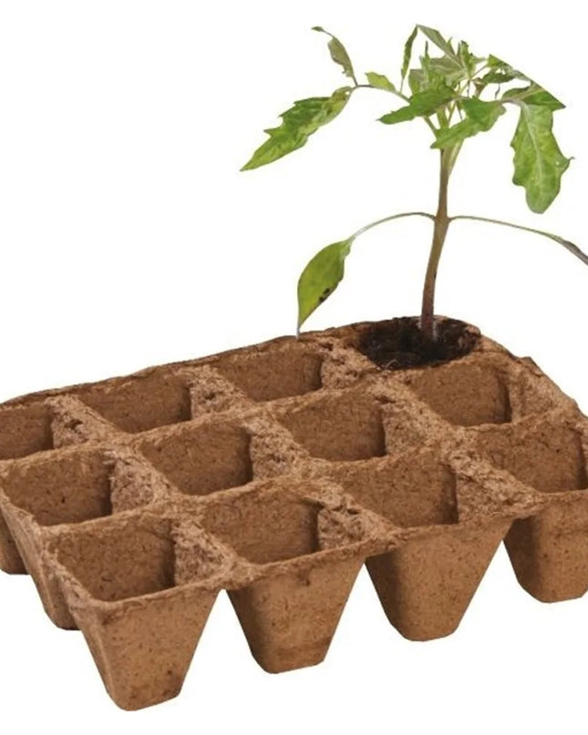 Pack de 36 pots en fibre biodégradables 5 cm