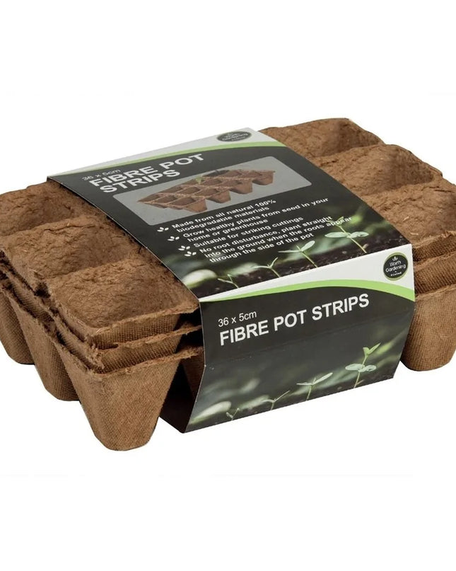 Pack de 36 pots en fibre biodégradables 5 cm