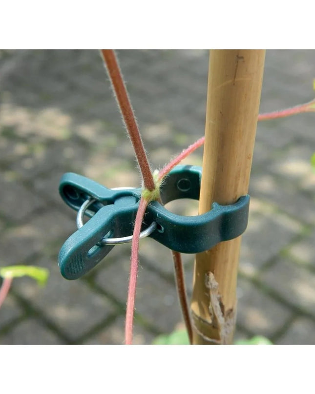 Petites pinces à plantes lot de 5