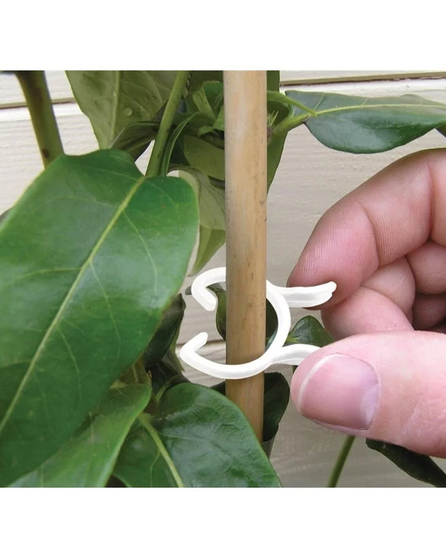 Pinces à plantes 2 tailles lot de 25
