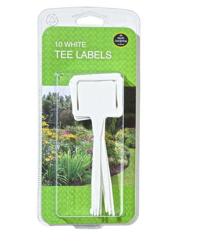 Pinces Étiquettes en T unies blanches lot de 10