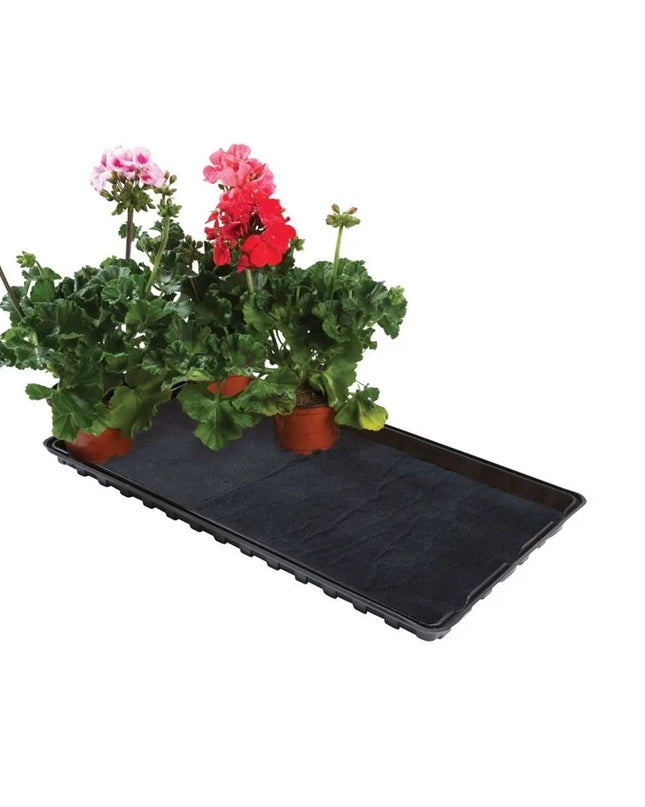 Plateau d'arrosage/gravier avec tapis capillaire