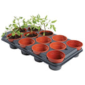 Plateaux avec pots