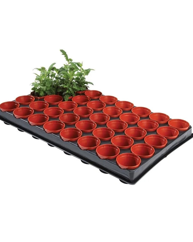 Plateau de semis et de coupe professionnel (pots de 40 x 6 cm)