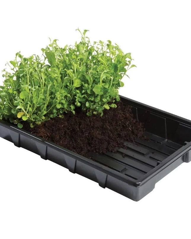 Plateaux de culture professionnels lot de 5