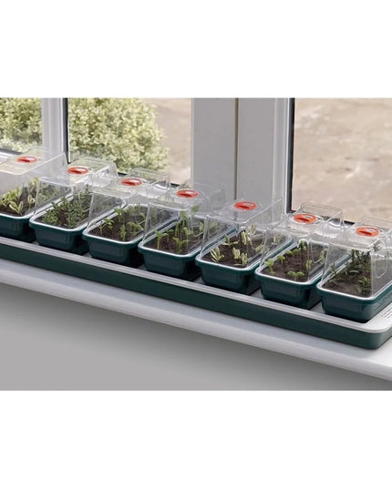 Propagateur de rebord de fenêtre électrique Super 7