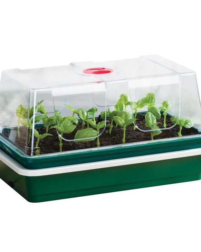 Propagateur électrique supérieur