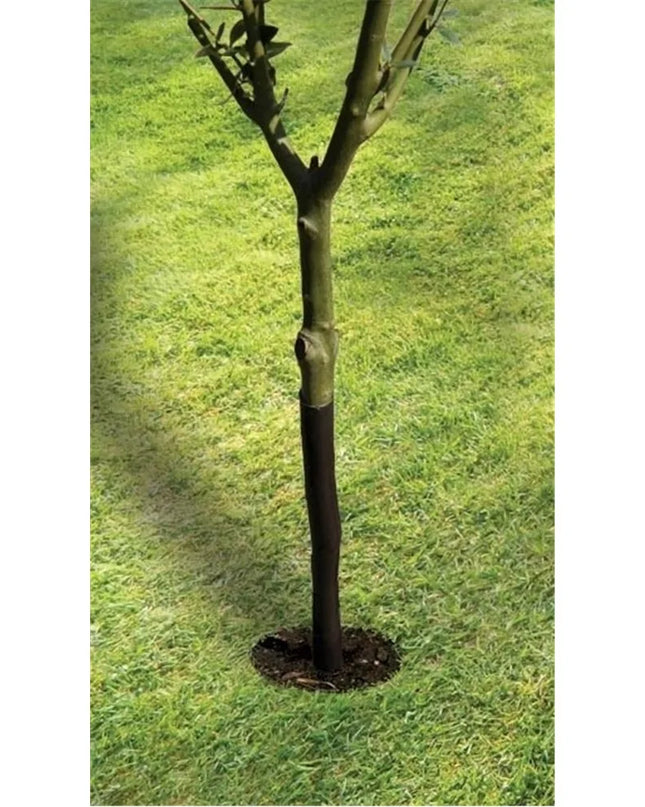 Protège-arbre en spirale 61cm