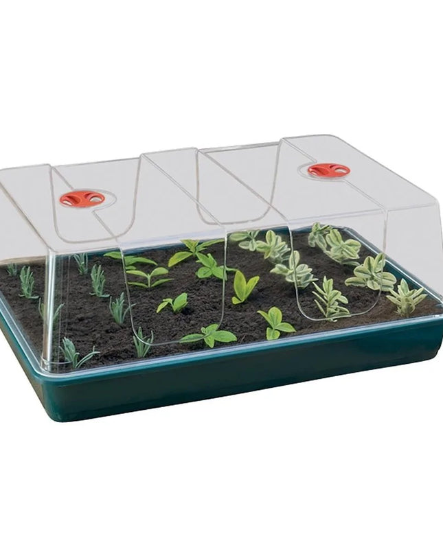 Serre XL High Dome vert
