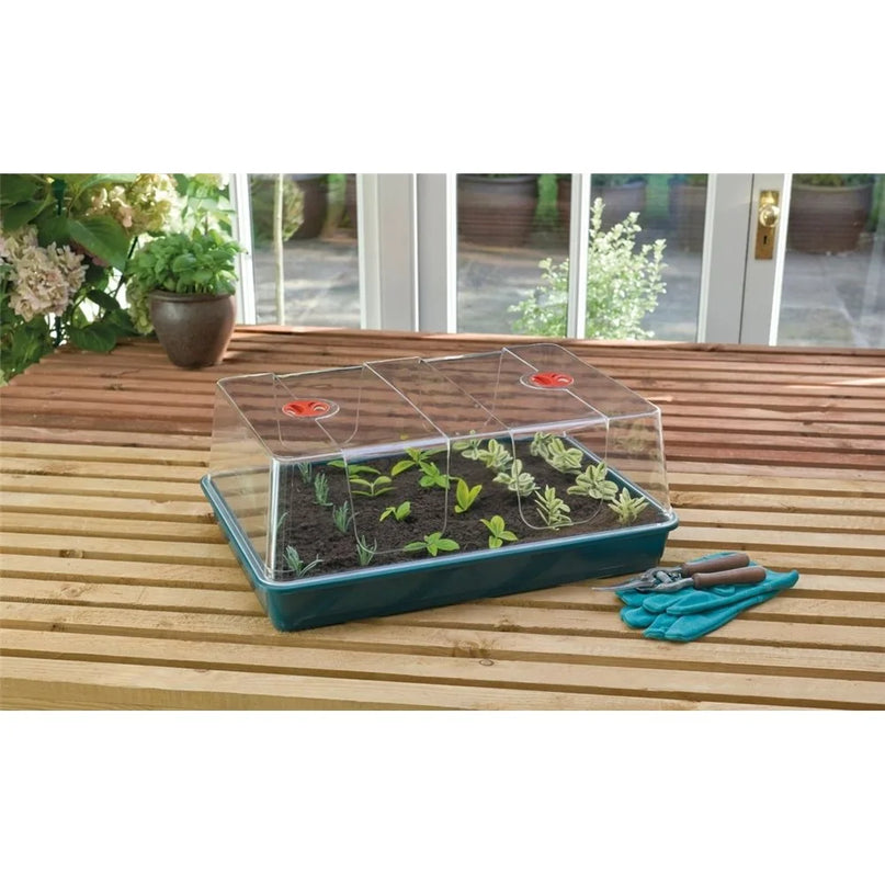Serre XL High Dome vert