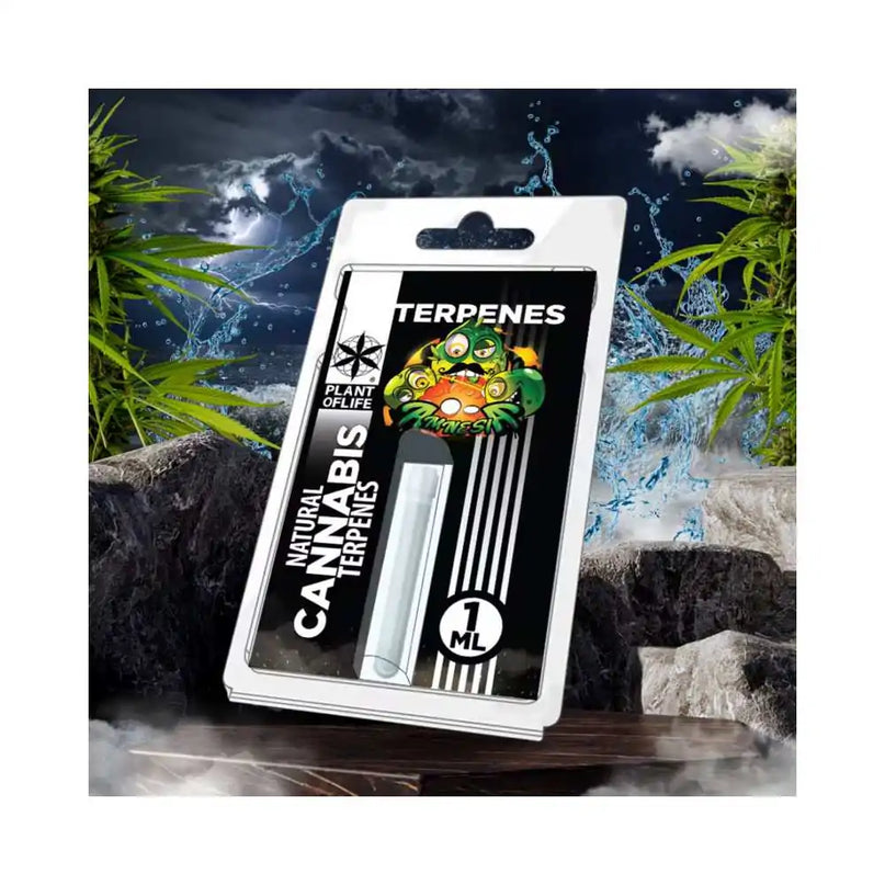 Terpène Amnesia| PLANT OF LIFE