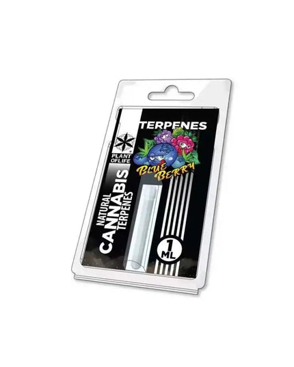 Terpène Blueberry Diesel | PLANT OF LIFE