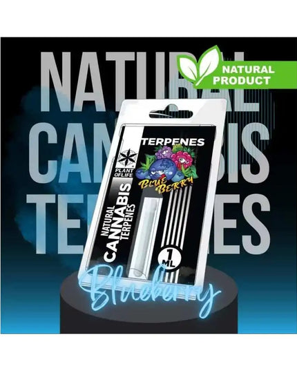 Terpène Blueberry Diesel | PLANT OF LIFE