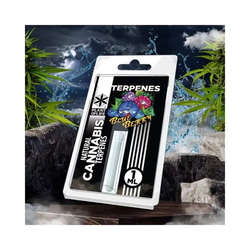 Terpène Blueberry Diesel | PLANT OF LIFE