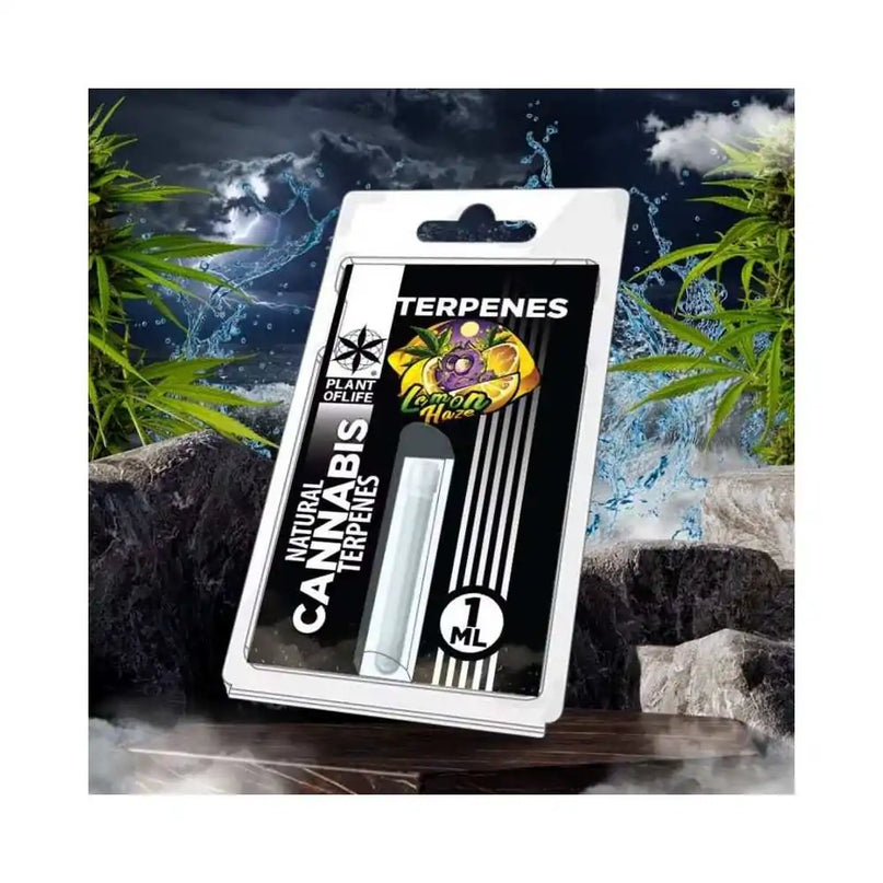 Terpène Lemon Haze | PLANT OF LIFE