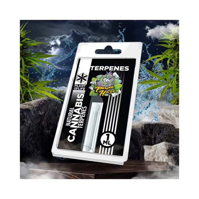 Terpène Purple Haze | PLANT OF LIFE